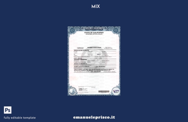 stile verificato Modello di pagine di emendamento al documento di nascita di USA